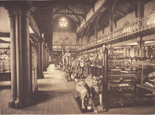 Where to Start? Lessons from The Hunterian’s Scoping Project